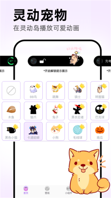 灵动坞小组件