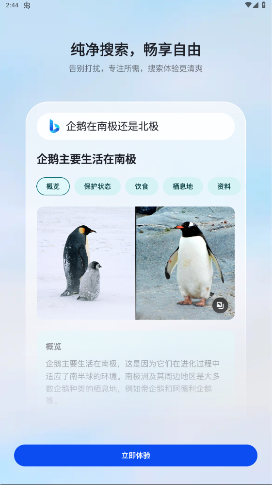 微软Bing