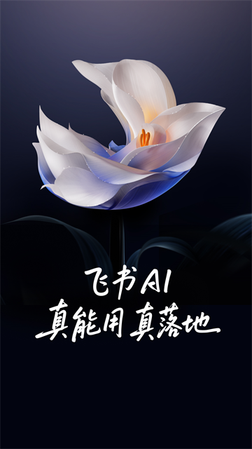 飞书视频会议