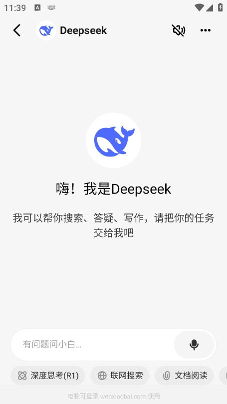 问小白deepseek满血版
