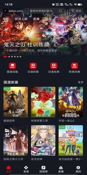 网飞猫