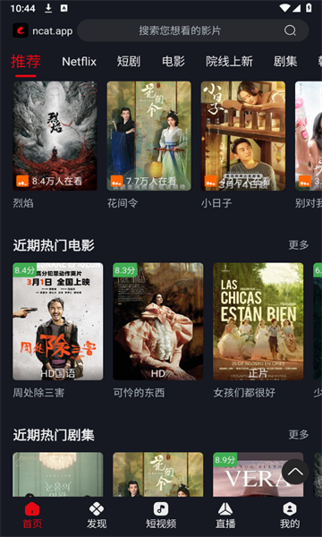 网飞猫
