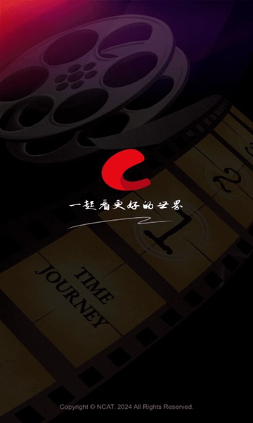 网飞猫