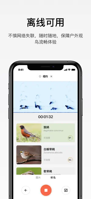 懂鸟app