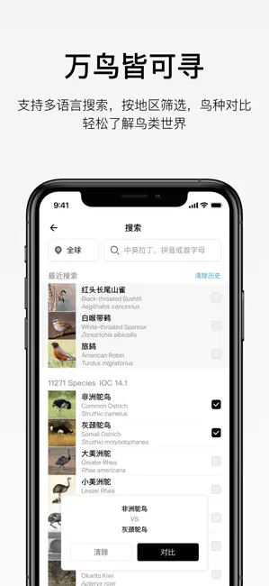 懂鸟app