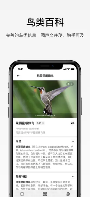 懂鸟app