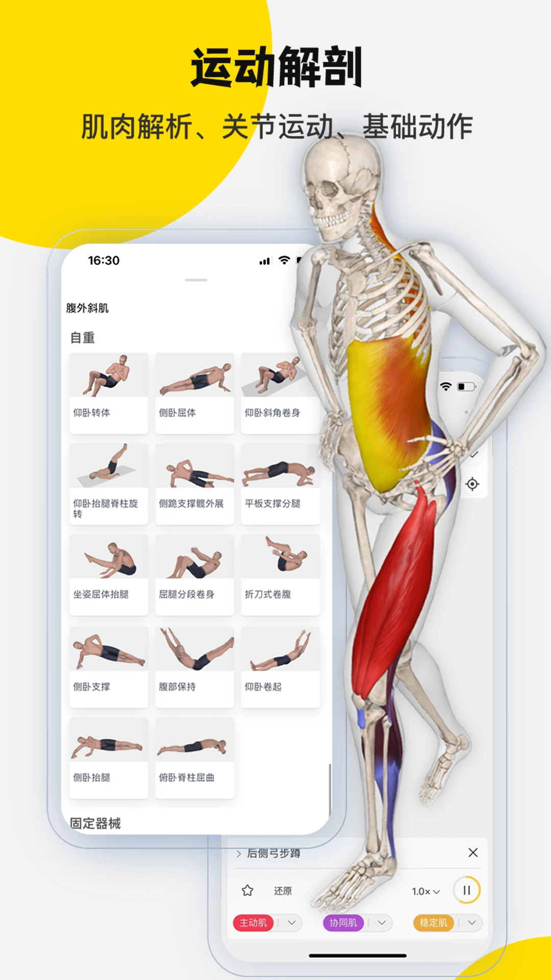 3dbody解剖